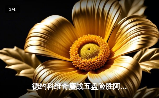 德约科维奇鏖战五盘险胜阿尔卡拉斯 斩获第七座温网桂冠 - 3